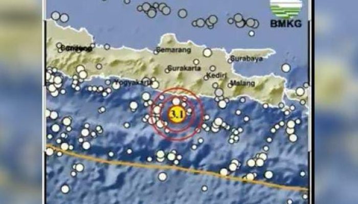 Gempa Magnitudo 3,1 Guncang Pacitan, BMKG Rilis Informasi Resmi dan Terus Pantau Situasi