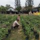 IMG 20250917 WA0024