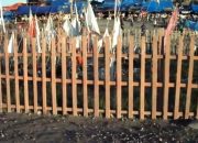 penegasan warisan kapitan baman tausia tentang saling komplain sebagai pemilik sah gunung botak 14 Img 20250920 Wa0008K24V3Yw