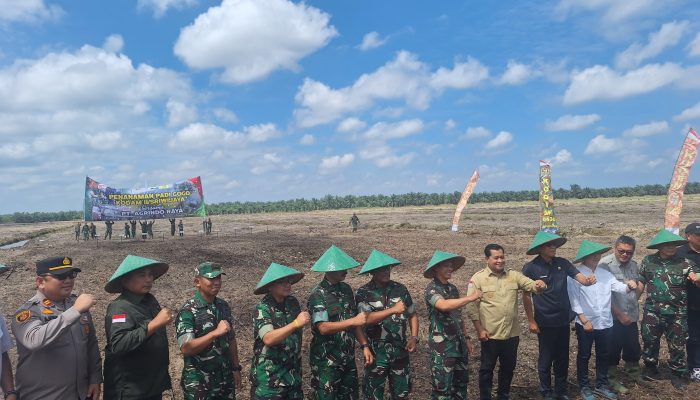 Polsek mariana monitoring dan pengamanan,penanaman padi Gogo di PT Agrindo raya desa pematang palas kec Banyuasin l kab Banyuasin.