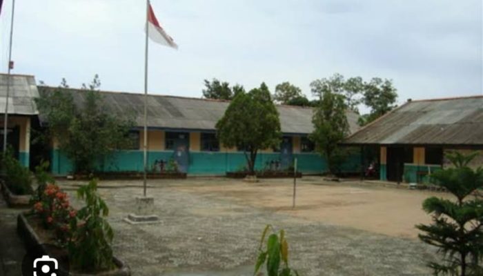 Penunjukan Kepala SDN 5 Pedamaran menjadi Polemik.