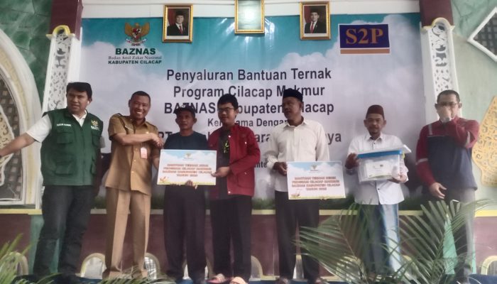 BAZNAS Kabupaten Cilacap Bersama PT. Sumber Segara Primadaya Salurkan Bantuan Ternak Domba