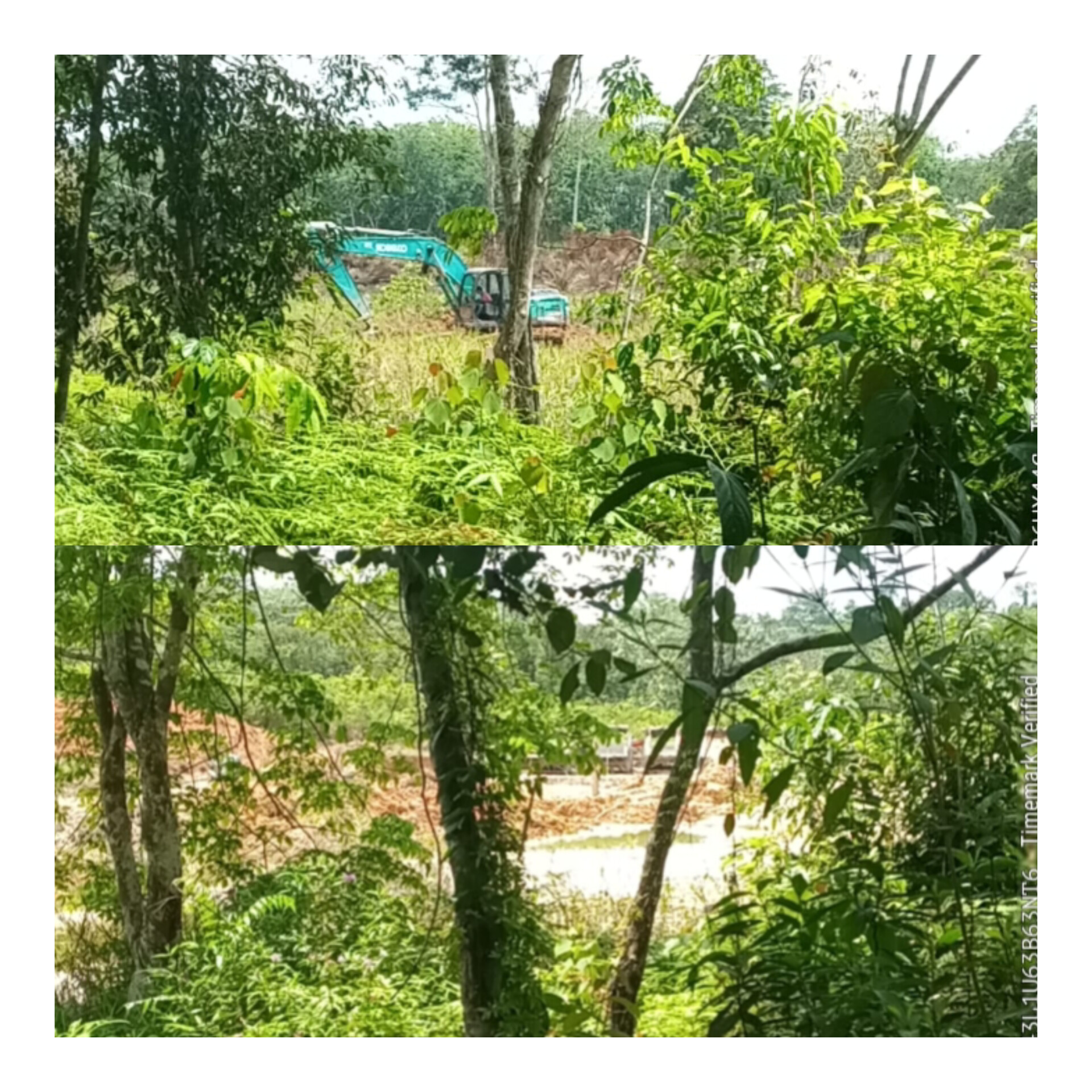 InShot 20250910 135824170