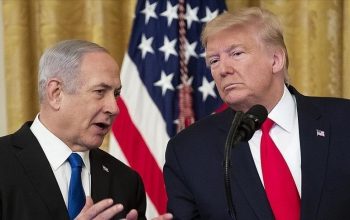 thumbs b c c2fcf2d18219431483233b71508f75cc