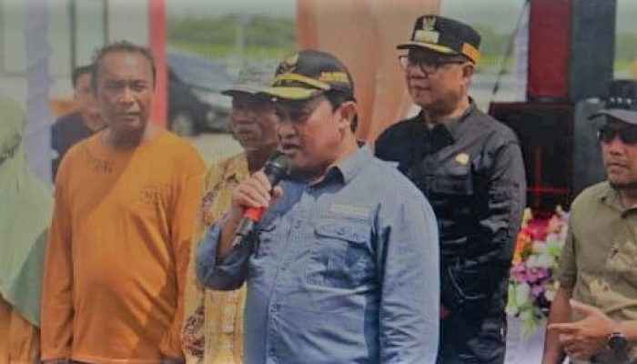 Wagub Kalteng H. Edy Pratowo melakukan panen perdana udang vaname Shrimp Estate Berkah di Kabupaten Sukamara.