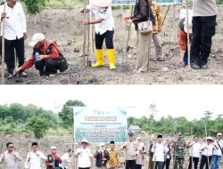 Wakil Bupati Tebo Ikuti Penanaman Jagung Program Ketahanan Pangan Tahun 2025