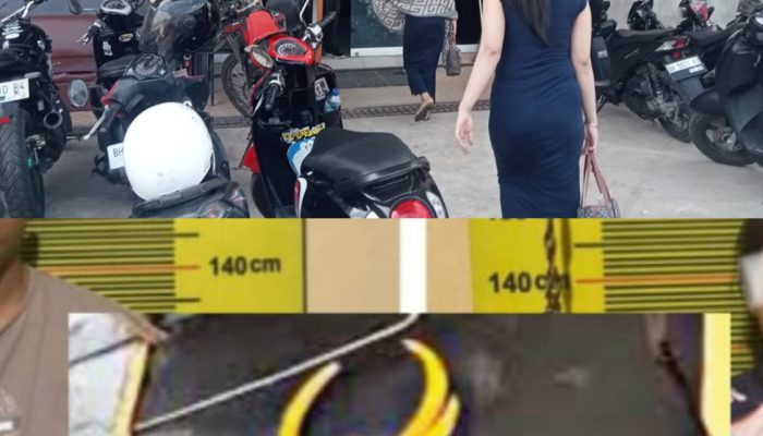 APH dan Pemda Bungo di Minta untuk memperhatikan Izin tempat Hiburan Karaoke Phoenix Bungo