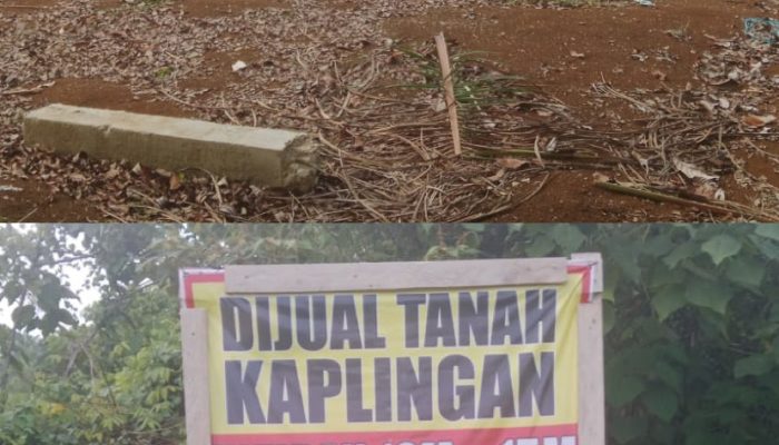 Diduga Serobot Tanah, Ruswiadi (Edi Suzuki) Dilaporkan ke Polres Bungo