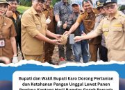 Bupati dan Wakil Bupati Karo Hadiri Panen Perdana Kentang Hasil Bumdes Gegeh Persada Desa Sukanalu