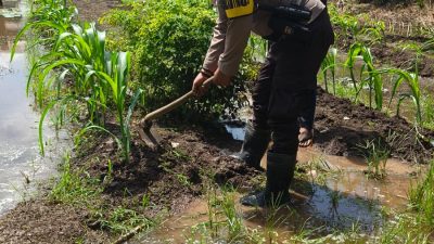 Bhabinkamtibmas Polsek Sungsang Imbau Warga Binaan Untuk Melaksanakan Program P2B