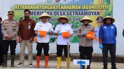 Perkuat Ketahanan Pangan, ‎Pemkab dan Polresta Cirebon Kolaborasi Tanam Jagung Pipil