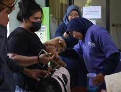 Peringati World Rabies Day, Distan Kabupaten Cirebon Gelar Vaksinasi Rabies  Gratis