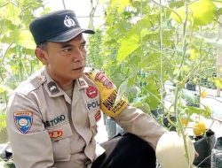 Dari Tanah Kosong Jadi Lahan Inspirasi:Ipda Mistono Polsek Talang Wujudkan Pengabdian