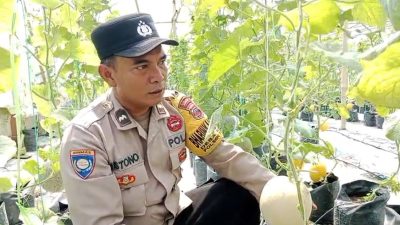Dari Tanah Kosong Jadi Lahan Inspirasi:Ipda Mistono Polsek Talang Wujudkan Pengabdian
