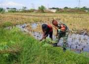 Babinsa Kelurahan Larangan Dampingi Petani Siapkan Lahan untuk Musim Tanam Padi