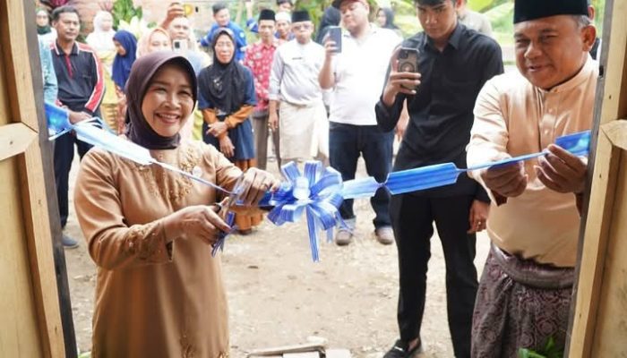 Hj.Hesnidar Haris serahkan kursi Roda dan dampingi terapi,pengobatan warga tunas mudo muaro jambi,