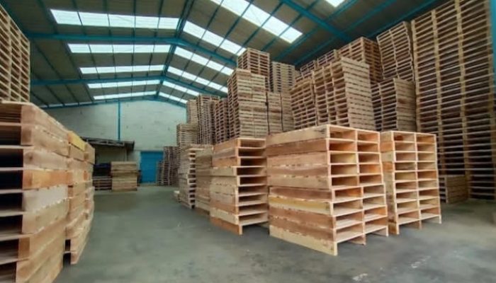 Setelah Kasus Kayu Ilegal Rp230 Miliar Terbongkar, Aktivis Soroti PT Indopallet Mulia Pratama