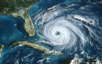 Bibit Siklon 768X336