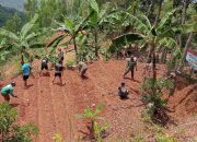 Perkuat Ketahanan Pangan, Satgas TMMD 126 Desa Petungsinarang Gelar Penanaman Sayur Bersama Warga