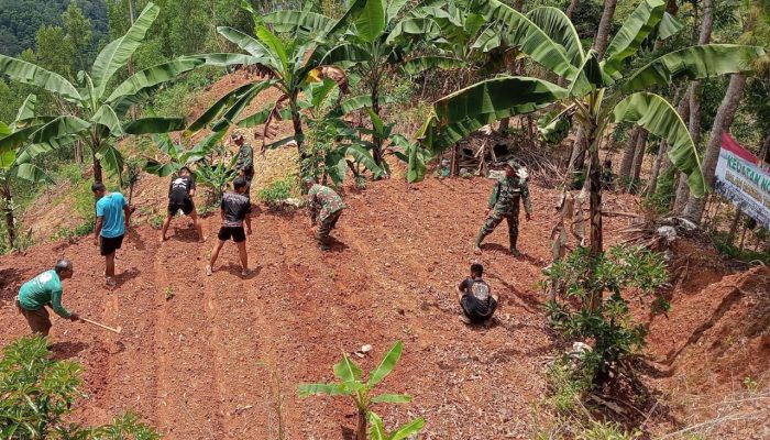 Perkuat Ketahanan Pangan, Satgas TMMD 126 Desa Petungsinarang Gelar Penanaman Sayur Bersama Warga
