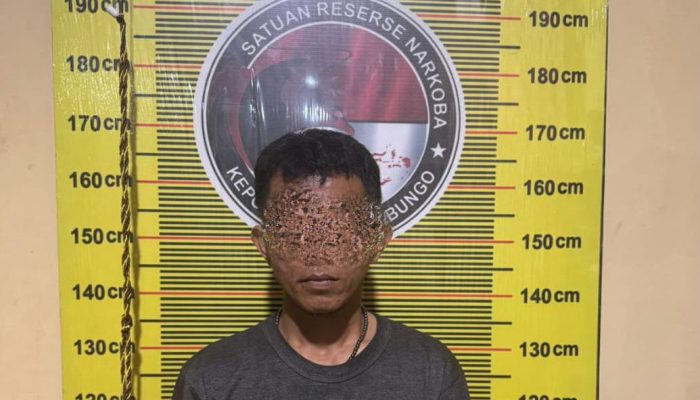 Satresnarkoba Polres Bungo Ringkus Pengedar Sabu di Sungai Lilin, Amankan 18,85 Gram Barang Bukti