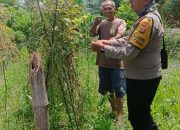 Polri Penggerak Di Banyuasin Wujudkan Ketahanan Pangan Melalui Kebun Kacang Panjang