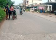 Img 20251130 172619 922