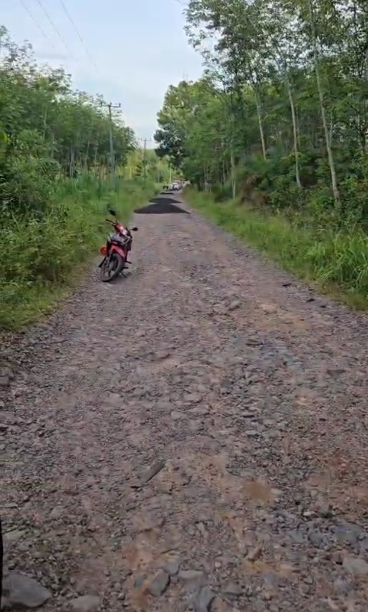 Screenshot 20251125 1000202