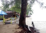 TimePhoto 20251124 143948