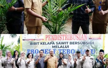 bupati tebo luncurkan pro best tebo maju (program bibit kelapa sawit bersubsidi kabupaten tebo) 4 1765800969983Vkelg4G