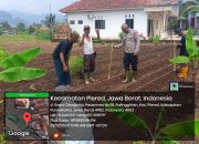 Kolaborasi Kelompok Tani Dan Polri, Polsek Plered Lakukan Penanam Jagung di Desa Palinggihan