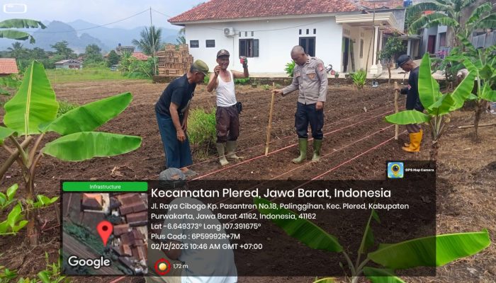 Kolaborasi Kelompok Tani Dan Polri, Polsek Plered Lakukan Penanam Jagung di Desa Palinggihan