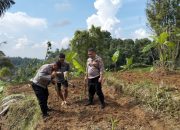 Polres Purwakarta Dorong Ketahanan Pangan, Polsek Wanayasa Gelar Penanaman Jagung Hibrida di Lahan Non – LBS