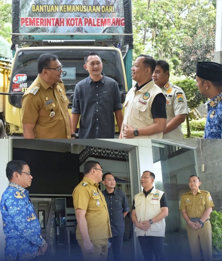 Img 20251209 Wa0046 768X904 1