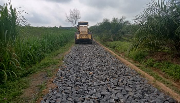 Img 20251210 Wa00191