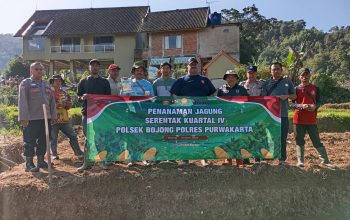 bersama pemerintah desa cihanjawar, kapolsek bojong tanam jagung untuk ketahanan pangan 5 Img 20251212 Wa0091
