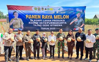 wakili kapolres purwakarta, akp randy freshtiadi ikuti coffe morning dan panen raya melon. 5 Img 20251216 Wa0035