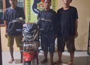 Img 20251216 Wa1215 768X1024 1