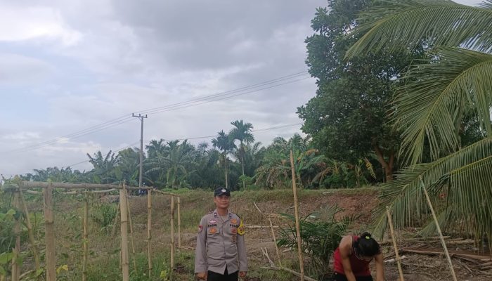 Bhabinkamtibmas Polsek Sungsang Tinjau Pertanian Warga, Dukung Program Ketahanan Pangan