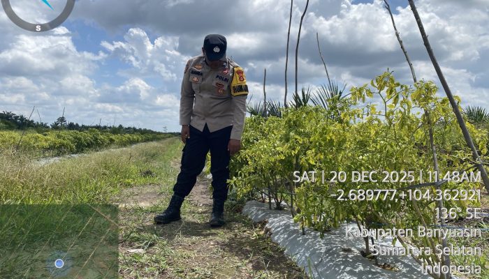 Bhabinkamtibmas Polsek Pulau Rimau Gelar Imbauan Dukung Swasembada Pangan di Desa Tabuan Asri
