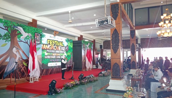 Festival Mangrove Ke-9 Di Pacitan, Pesan Lingkungan Menggema Di Tengah Hiruk Pikuk Hiburan