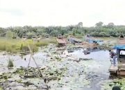 “Bangkang”Para Pemain Peti Di Wilayah Dam Betuk Semakin Menggila