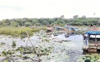 "bangkang"para pemain peti di wilayah dam betuk semakin menggila 8 Img 20251224 Wa0075