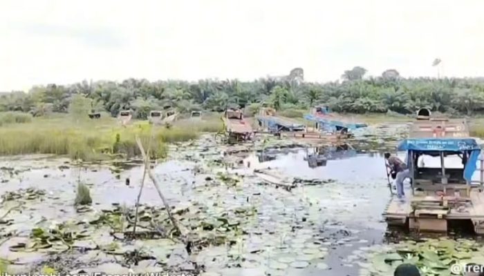 “BANGKANG”Para Pemain Peti Di Wilayah Dam Betuk Semakin Menggila