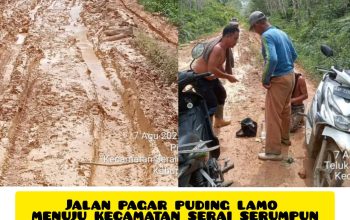 Img 20251226 Wa0003Ujflzak