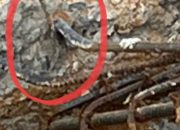 diduga pembangunan turap didesa pagar puding kecamatan tebo ulu dikerjakan asal jadi 10 Img 20251216 142722