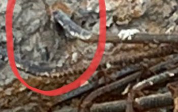 diduga pembangunan turap didesa pagar puding kecamatan tebo ulu dikerjakan asal jadi 4 Img 20251216 142722