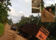 Warga Desa Suka Jaya Keluhkan Kondisi Jalan Yang Rusak Cukup Parah