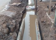 Timephoto 20251211 080434