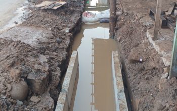 Timephoto 20251211 080434